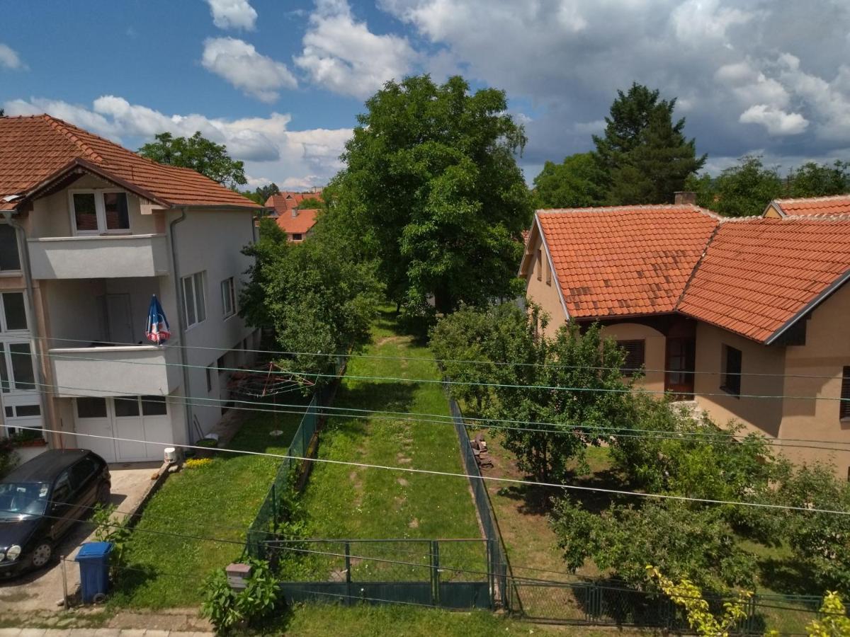 Vila Lenka Sokobanja Kültér fotó