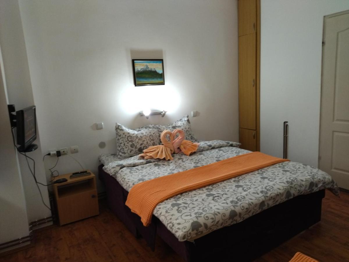 Vila Lenka Sokobanja Kültér fotó