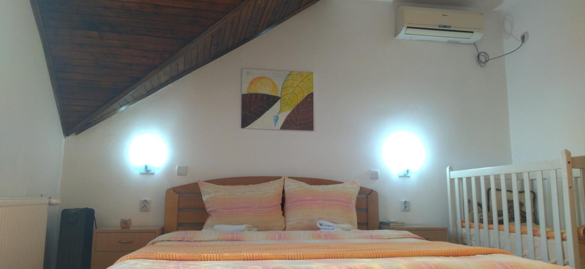Vila Lenka Sokobanja Szoba fotó