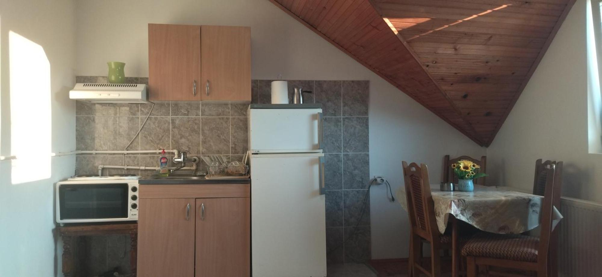 Vila Lenka Sokobanja Szoba fotó