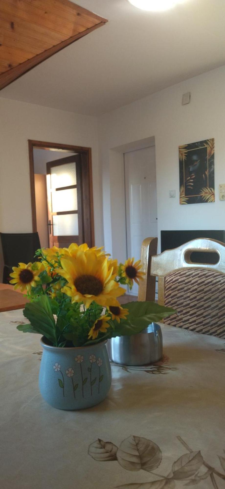 Vila Lenka Sokobanja Szoba fotó