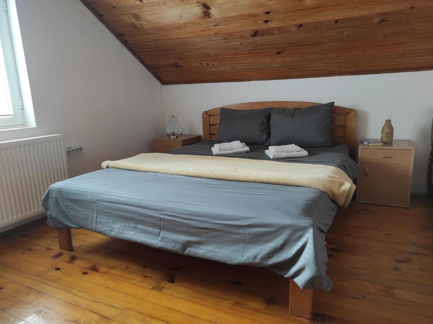 Vila Lenka Sokobanja Szoba fotó