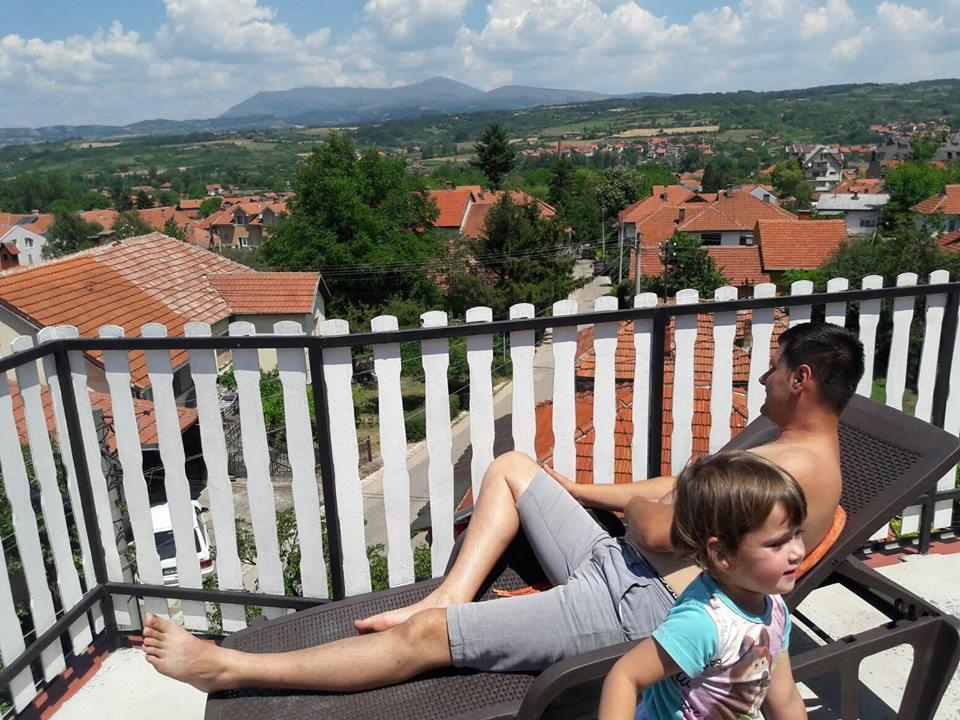 Vila Lenka Sokobanja Kültér fotó