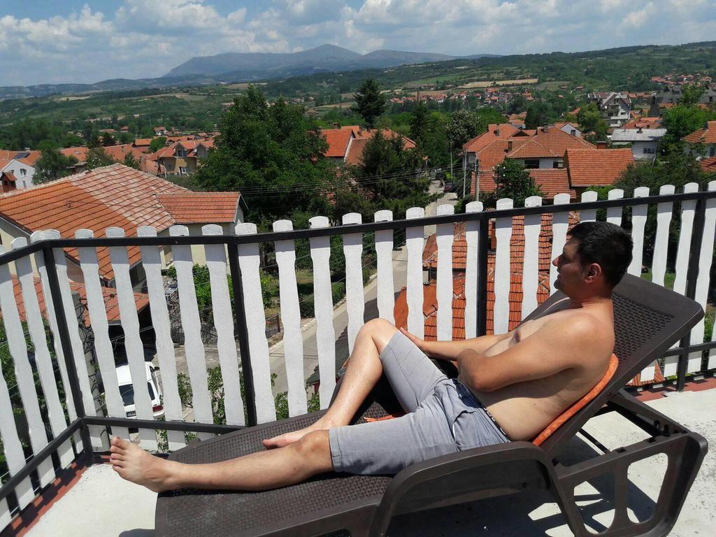 Vila Lenka Sokobanja Kültér fotó