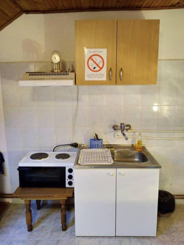 Vila Lenka Sokobanja Kültér fotó