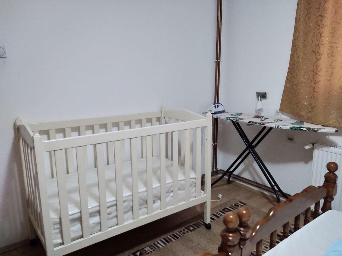 Vila Lenka Sokobanja Kültér fotó