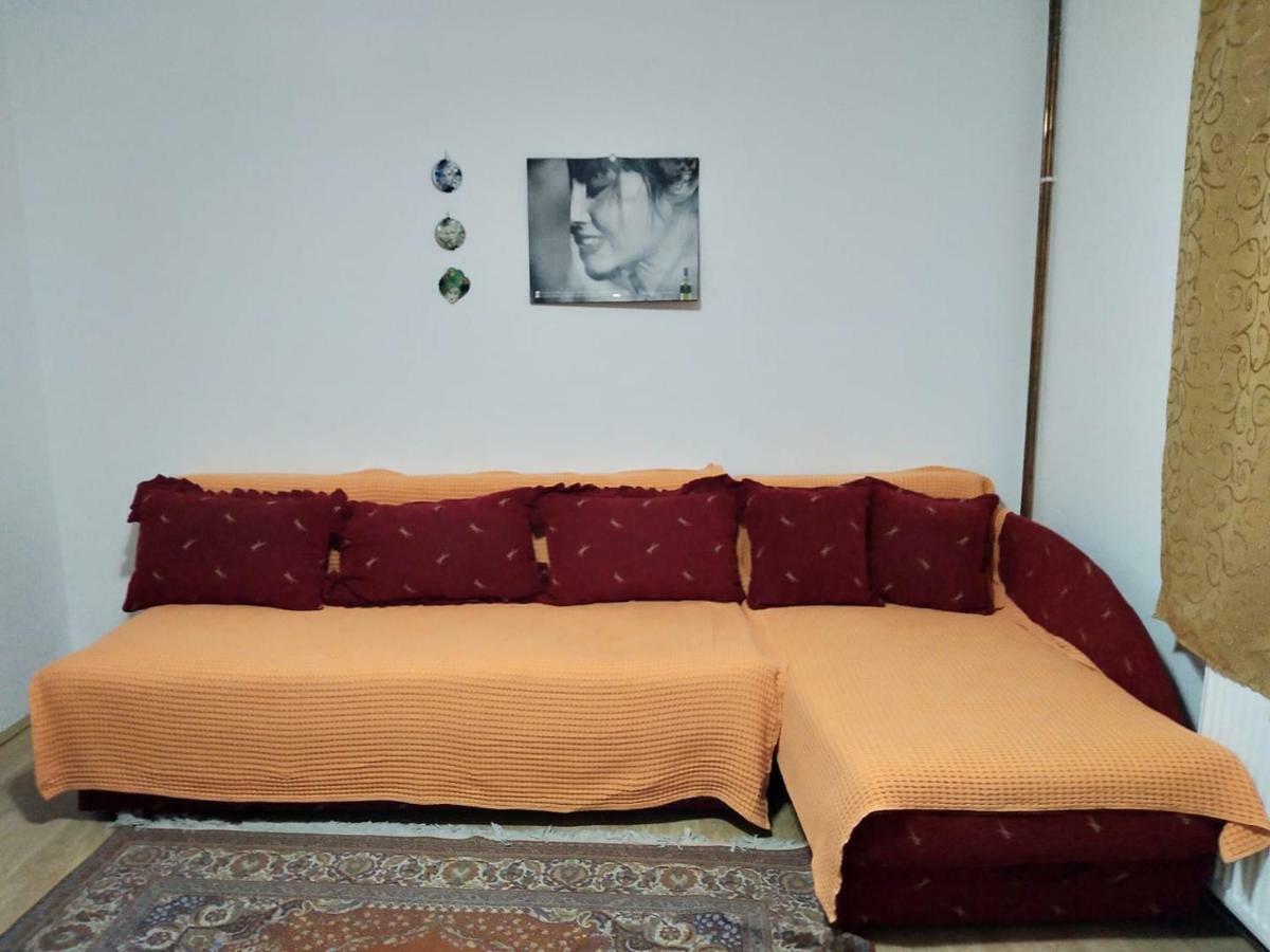 Vila Lenka Sokobanja Kültér fotó