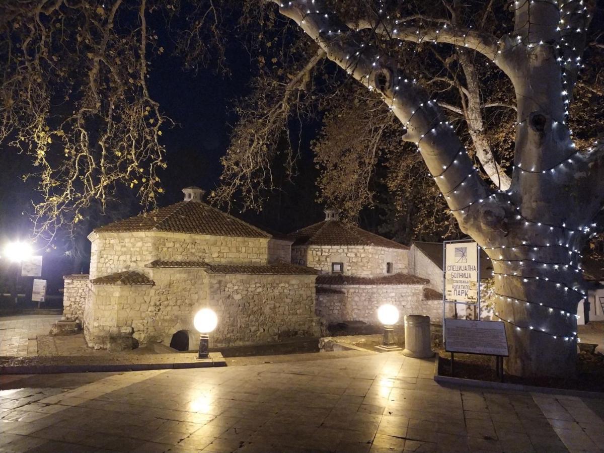 Vila Lenka Sokobanja Kültér fotó
