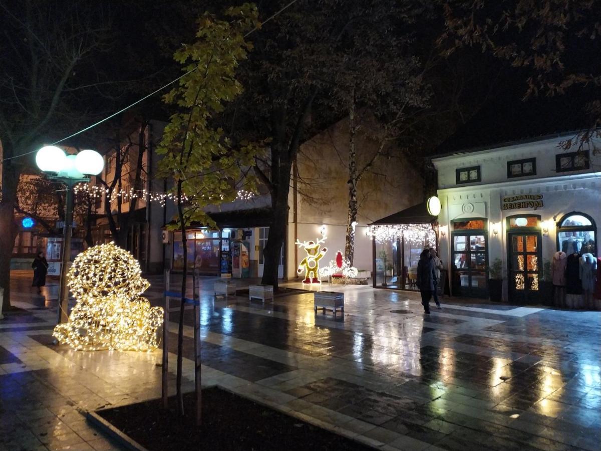 Vila Lenka Sokobanja Kültér fotó